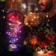 thumbnail image 2 of Cúpula de cristal de regalo con forma de flor de rosa con luz LED para mujer, 2 of 7