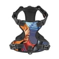 thumbnail image 4 of Lsque Scooby-Doo Dog Harness, No-Pull Pet Harness with 2 Leash Clips, Adjustable Soft Padded Dog Vest with Easy Control Handle for Large Dogs-, 4 of 9
