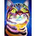 thumbnail image 1 of Diamond Painting (DE4984) Cat 5D DIY Square Animal Rhinestones Dibujos (B2452) 50x70cm FLhrweasw Nuevo, 1 of 1