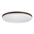 thumbnail image 1 of Dark Bronze, 1 of 10