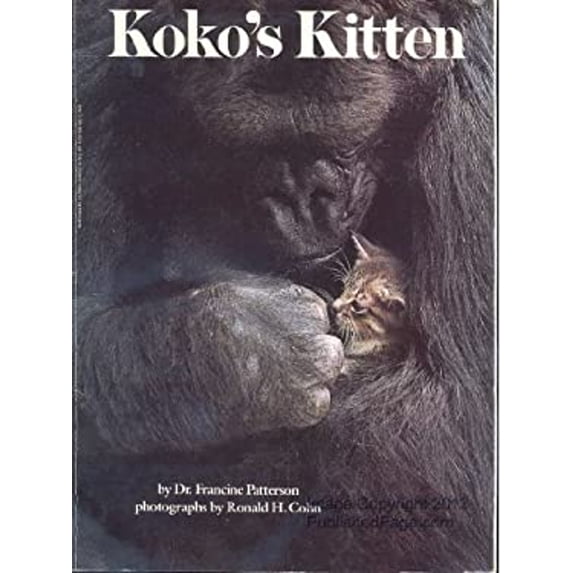 Pre-Owned Koko's Kitten (Paperback) 0590338129 9780590338127