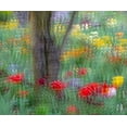 thumbnail image 2 of Jaynes Gallery 17x15 Gold Ornate Wood Framed with Double Matting Museum Art Print Titled - France-Giverny Impression of flowers in Monets Garden, 2 of 4