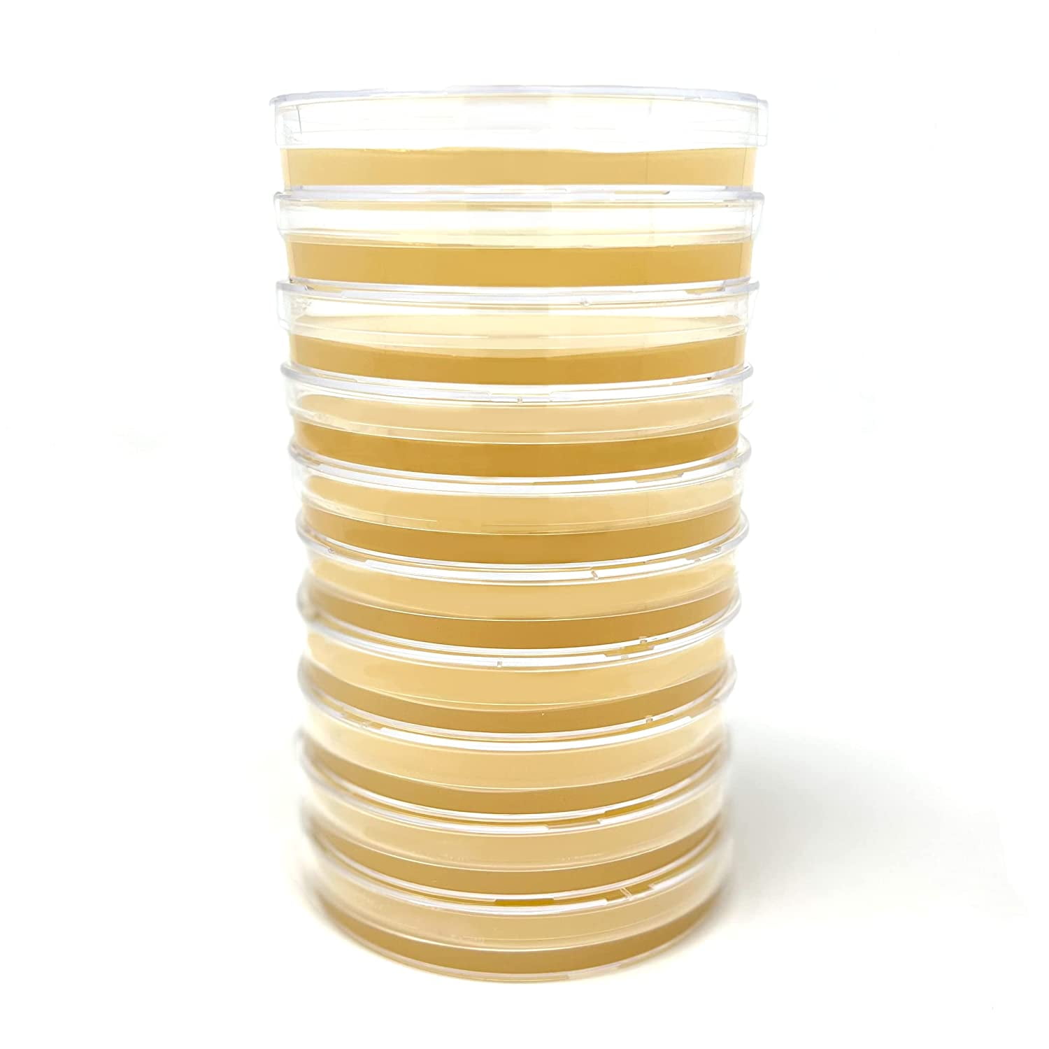 Olympus Myco Yeast Extract Agar Plates for Mushroom Cultivation