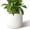 White 14 Inch, variant on 12 Inch Cylinder Pot, Modern Round Planter with Drainage Holes and , Durable Plastic Flower Pot for Indoor Outdoor , White