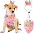 thumbnail image 1 of Conjunto de sombrero y pañuelo de cumpleaños para perro rosa, 1 of 5