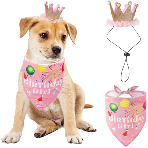Conjunto de sombrero de pañuelo de cumpleaños para perros, suministros para fiestas de cumpleaños para perros, pañuelo para perros, niño, niña, cachorro, sombrero de cumpleaños, bufanda, mas