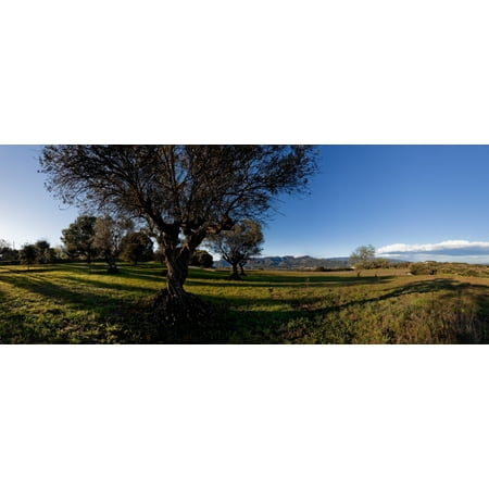 View of a field Santa Eulalia De Roncana Barcelona Catalonia Spain Poster Print by Panoramic (Best Of Barcelona Spain)