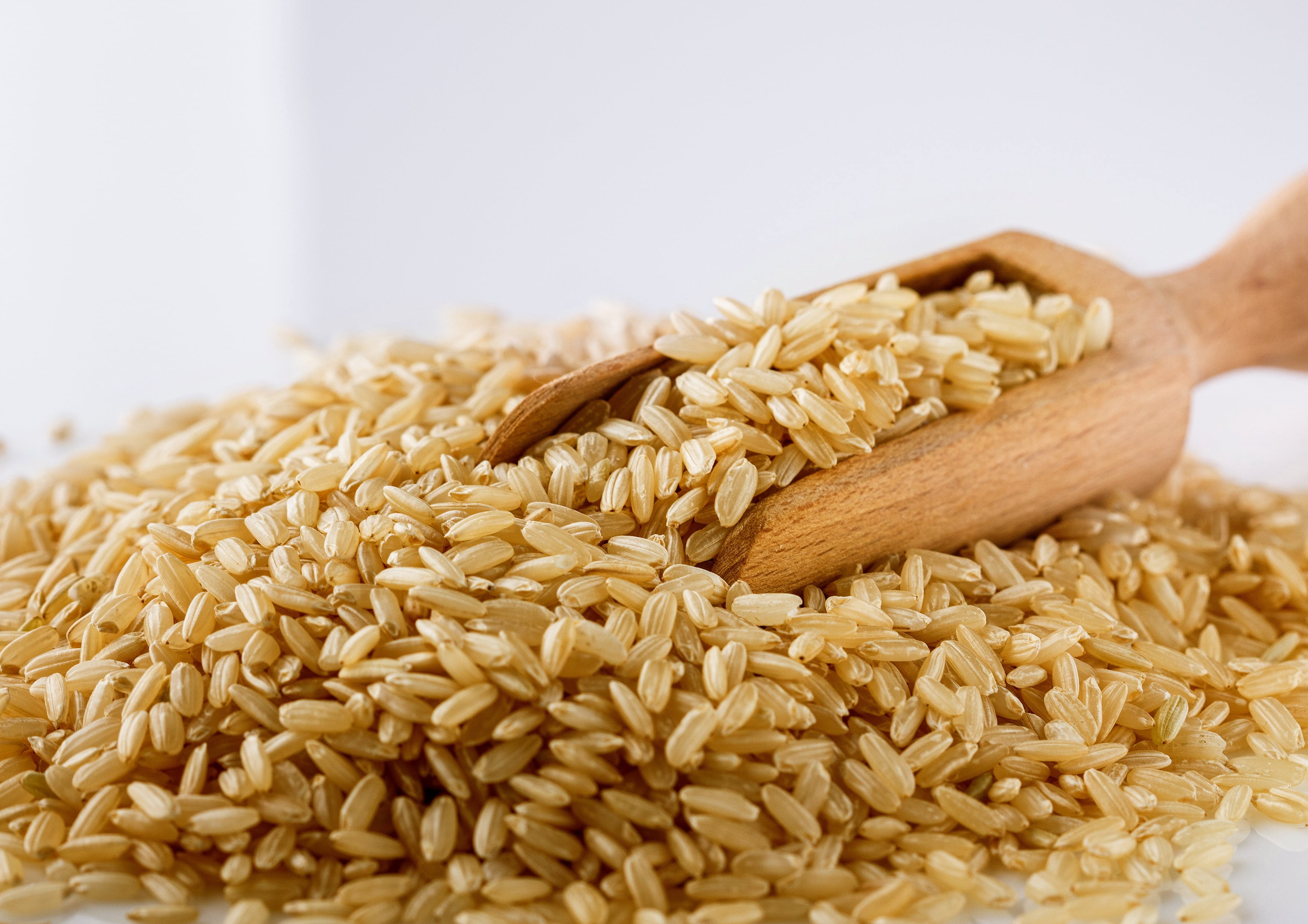 Organic Parboiled Long Grain Brown Rice, 24 Pounds — Non-GMO, Kosher, Vegan — by Food to Live