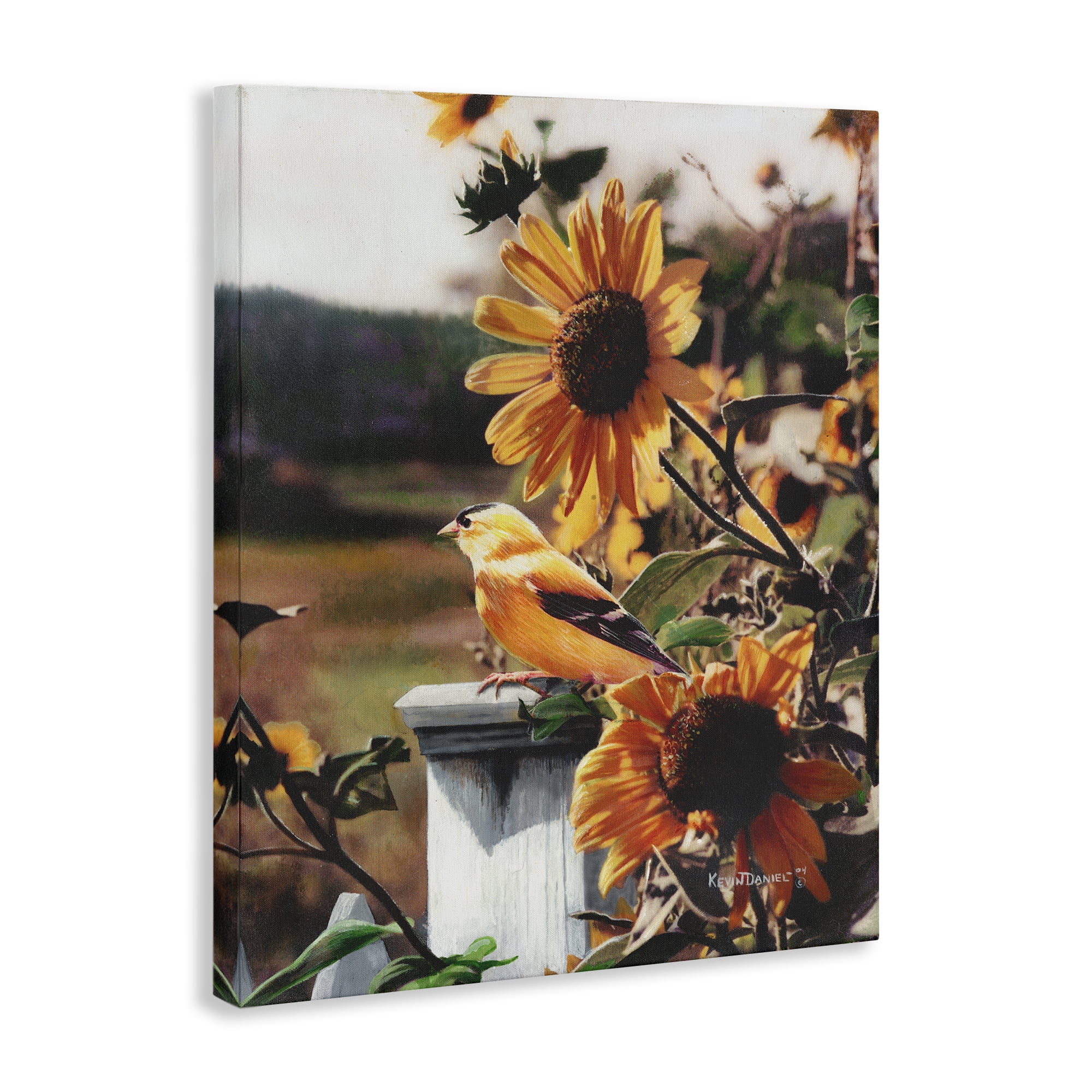 Stupell Industries Canary Bird & Sunflowers Plants & Flowers Photography Wrapped Canvas Art Print Wall Art, 24 x 30