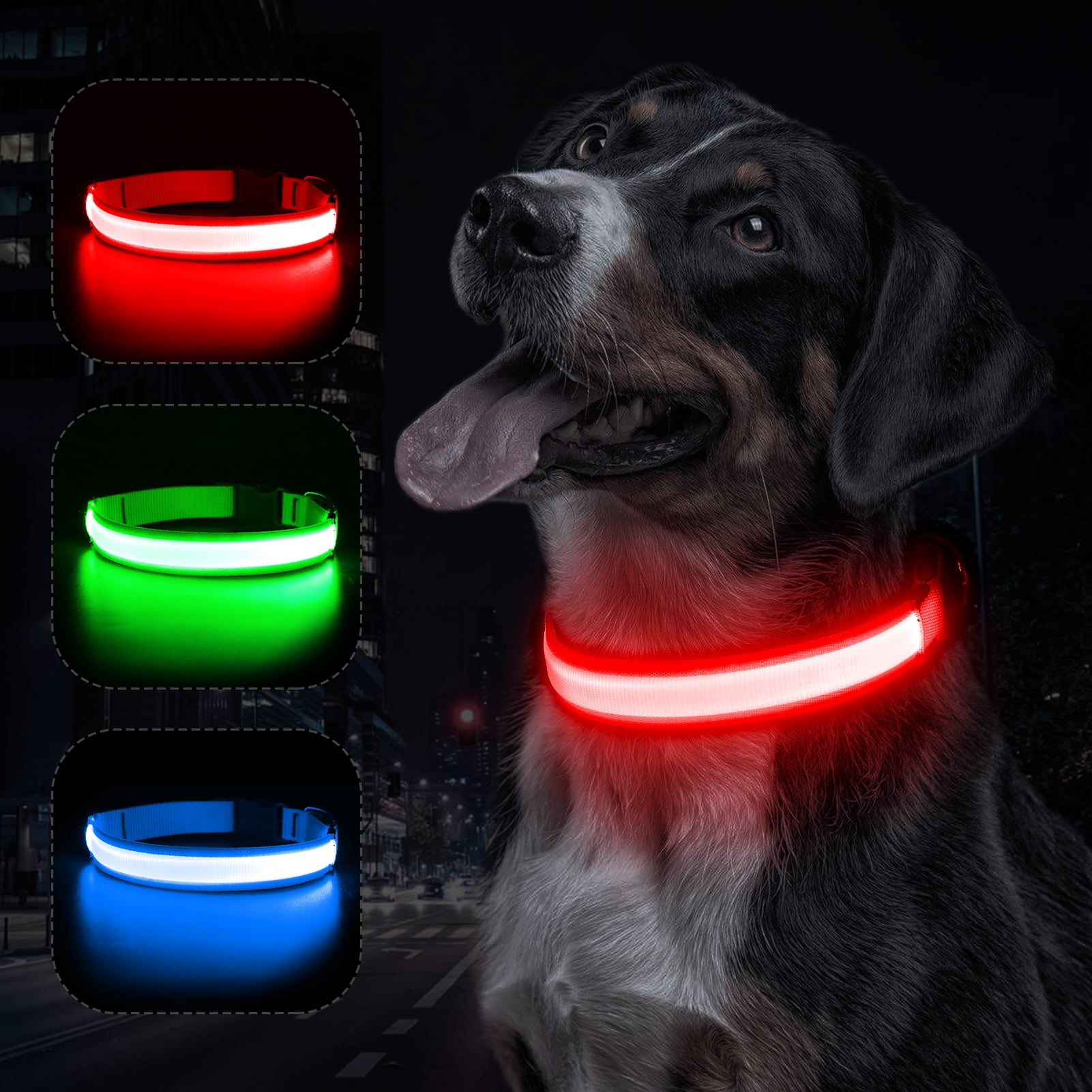 Bseen Light up Dog Collar Reflective LED Puppy Collar Rechargeable