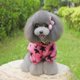 thumbnail image 2 of 5 Tamaño Del Perro De Mascota Invierno Con Capucha Mantener Caliente Con Capucha Del Del Animal Doméstico XXL Gloria Pet Dog Warm Shirt, 2 of 9