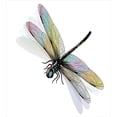 thumbnail image 3 of Dragonfly Duvet Cover Set, Shady Dragonfly Pattern with Ornate Lace Style Spiritual Beauty Wings Design, Decorative Bedding Set with Pillow Shams, Multicolor, by Ambesonne, 3 of 3
