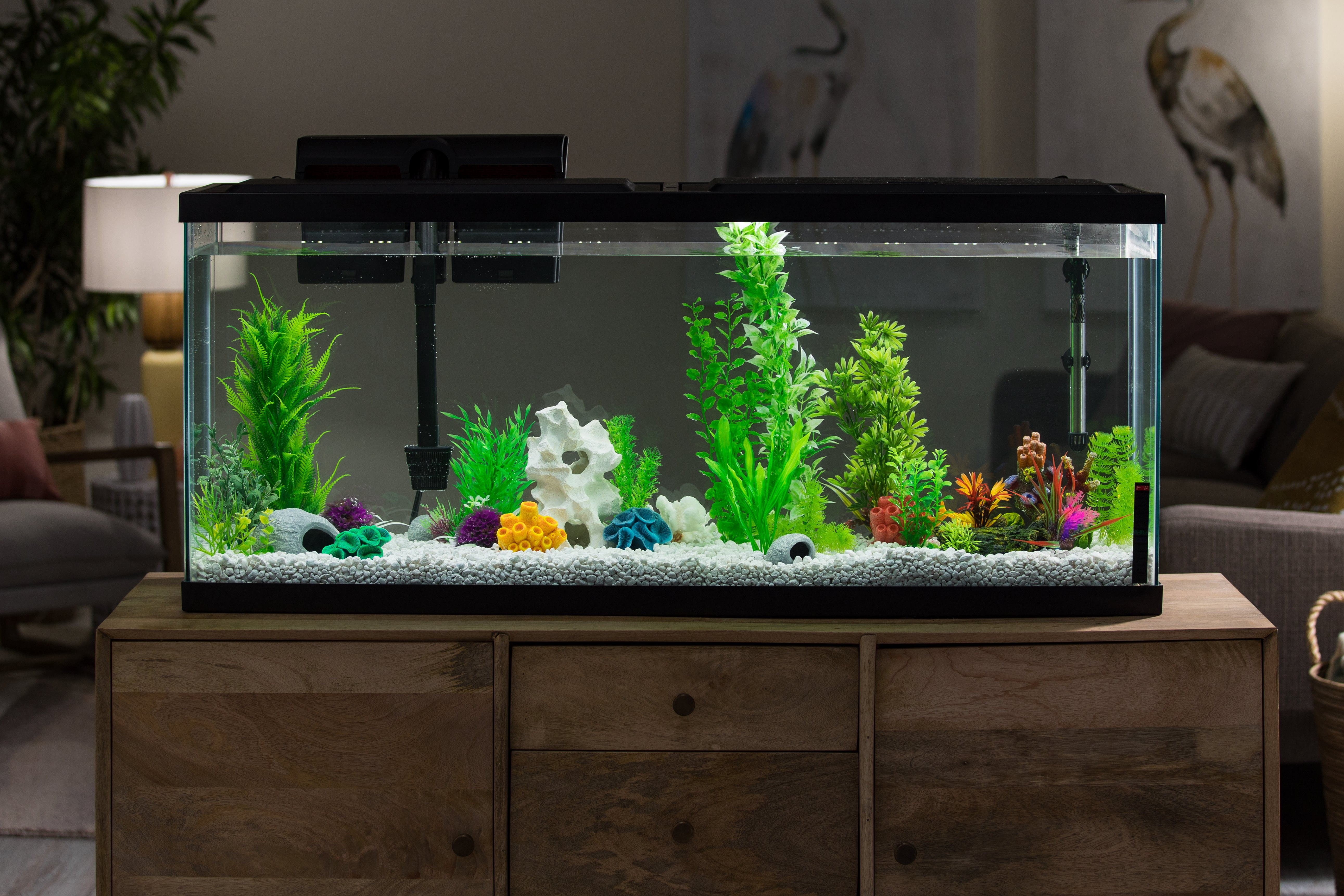 55 gallon fish tank decorations