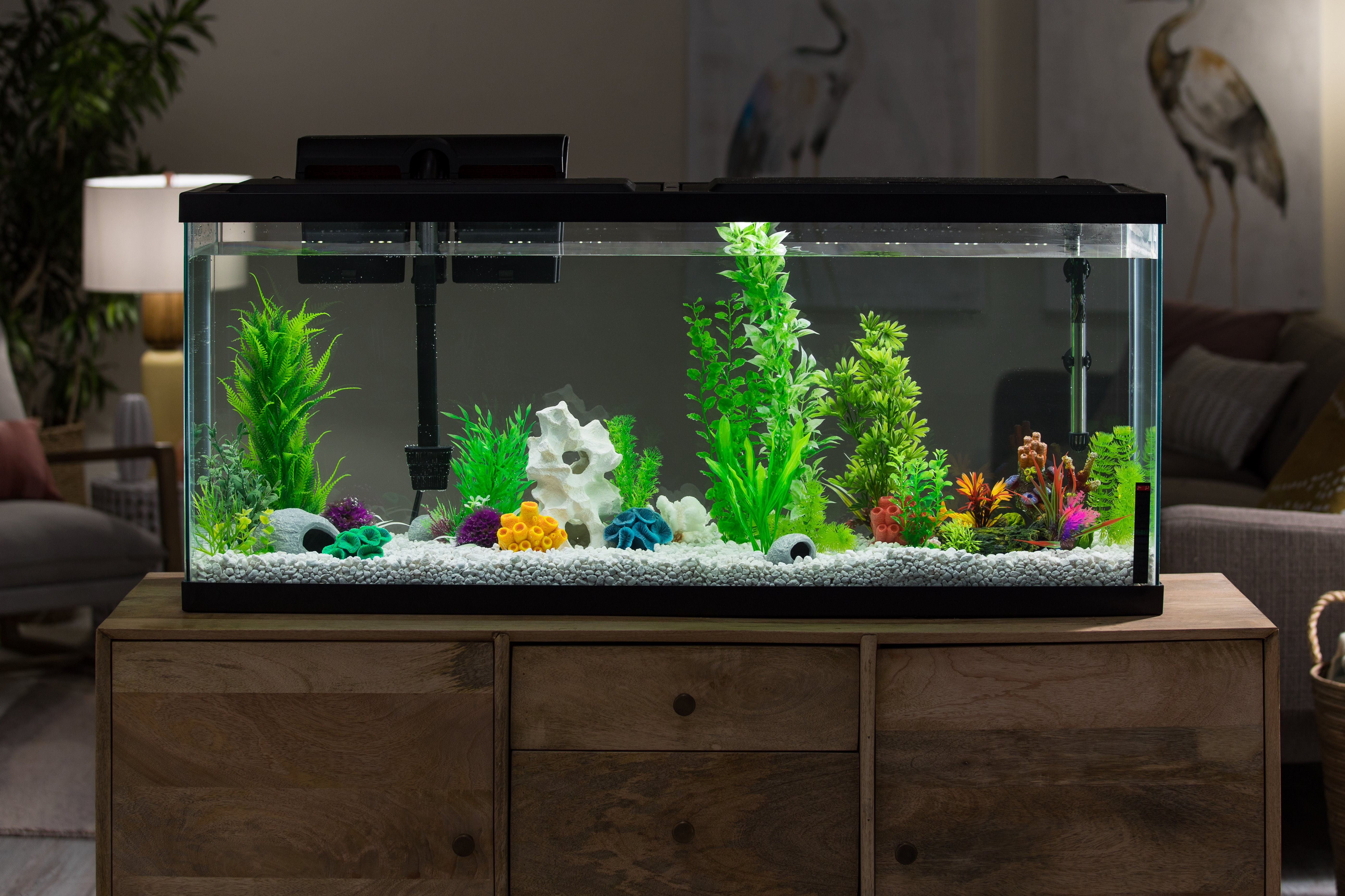 Aqua Culture 55-Gallon Glass Fish Tank LED Aquarium Kit (Online Only Price) - image 4 of 11
