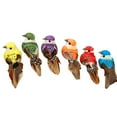 thumbnail image 5 of SPRING PARK 6Pcs Fake Bird Artificial Feather Foam Bird Tree Decor Perched Woodland Birds Ornament for Birthday Gift Bird Model, 5 of 6