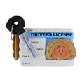 thumbnail image 4 of Personalized New Driver Ornament 2024 - Drivers License Christmas Ornament 2024, Student Driver Ornament, New Driver Gifts, Teen Driver Gifts - Driver's License Blonde Female - Free Customization, 4 of 10