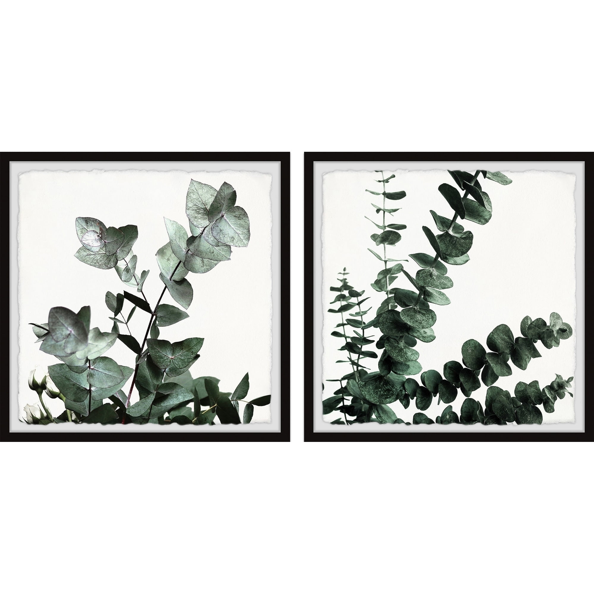 Marmont Hill Gum Tree Foliage Diptych