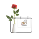 thumbnail image 1 of La lengua de un perro Botella de decoración de jarrones colgantes de flores rosas artificiales, 1 of 3
