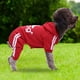 thumbnail image 1 of Suéter para perros ropa cálida para perros Material suave para perros pequeños medianos y extragrandes mascotas Hugtrwg Para estrenar, 1 of 8