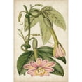 thumbnail image 3 of Stroobant 13x18 Black Modern Framed Museum Art Print Titled - Passion Flower Botanical, 3 of 5