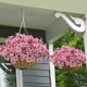 thumbnail image 5 of 1 paquete de 18 cabezas de flores artificiales violetas para colgar en la pared, ramo de flores falsas para decoración del hogar y el jardín al aire libre, bricolaje, fiesta de bodas, 5 of 5
