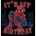 thumbnail image 2 of Boy's Marvel It's My Spider-Birthday  Graphic Tee Black Medium, 2 of 5