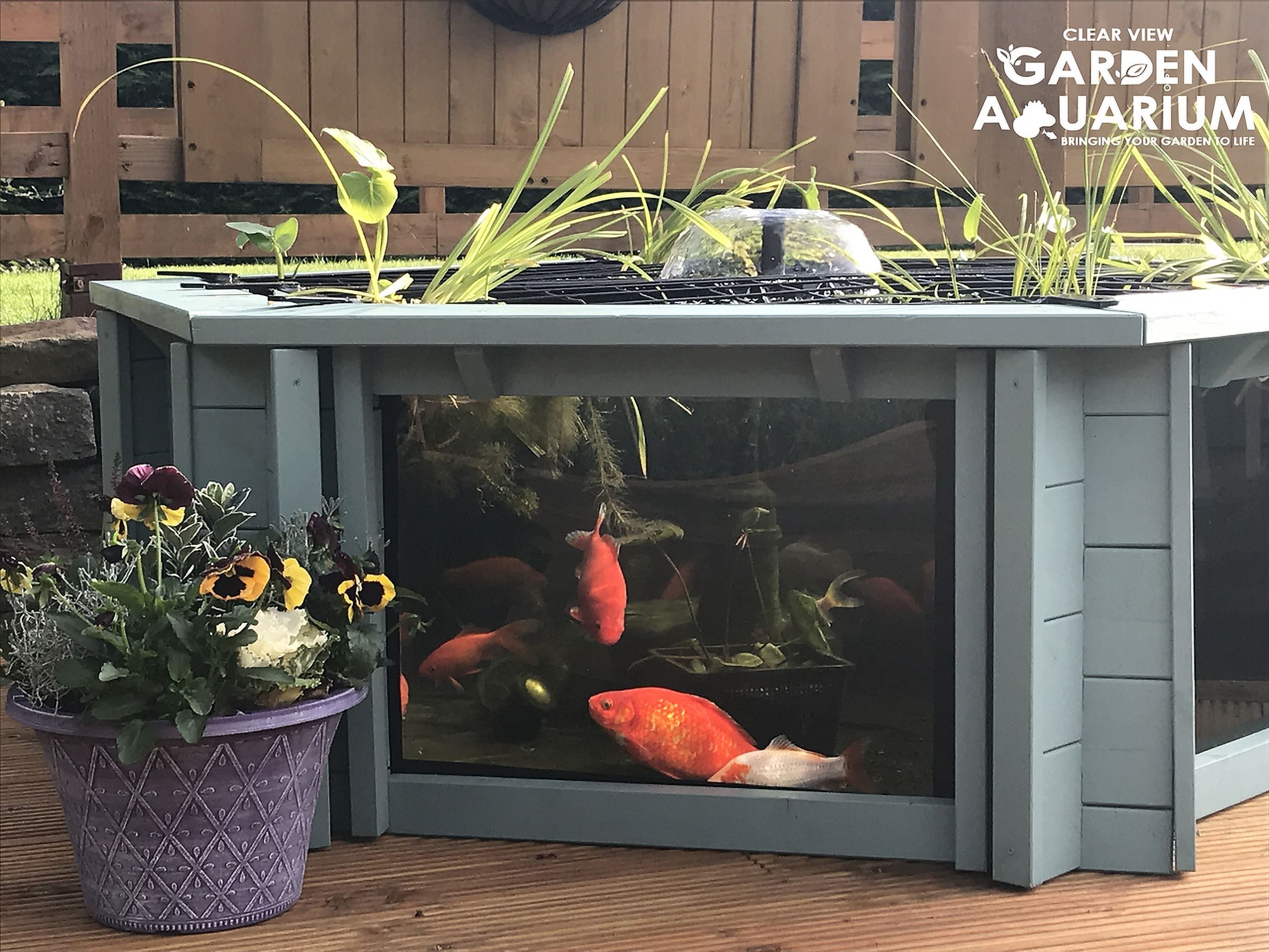 Raised Hexagon Wood Pond with Large Windows  - Lily Clear View Garden Aquarium  in Green 172 Gallon