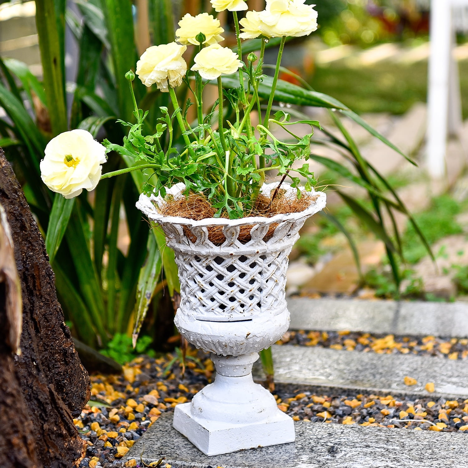 Sungmor Cast Iron Urn Planter, Hollow Trophy Design Tall Orchid Flower Pot, White, 1-Piece