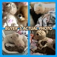 thumbnail image 2 of Peluche PetPrime Heart Beat Puppy Oso de peluche para perros, 2 of 7