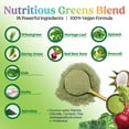 thumbnail image 4 of Greens Powder Superfood - Premium Organic Super Greens Juice Powder - Packed with Probiotics, Wheat Grass, Enzymes, Spirulina, Chlorella for Digestive & Gut Health, Smoothie Drink Mix - 28 Servings, 4 of 10