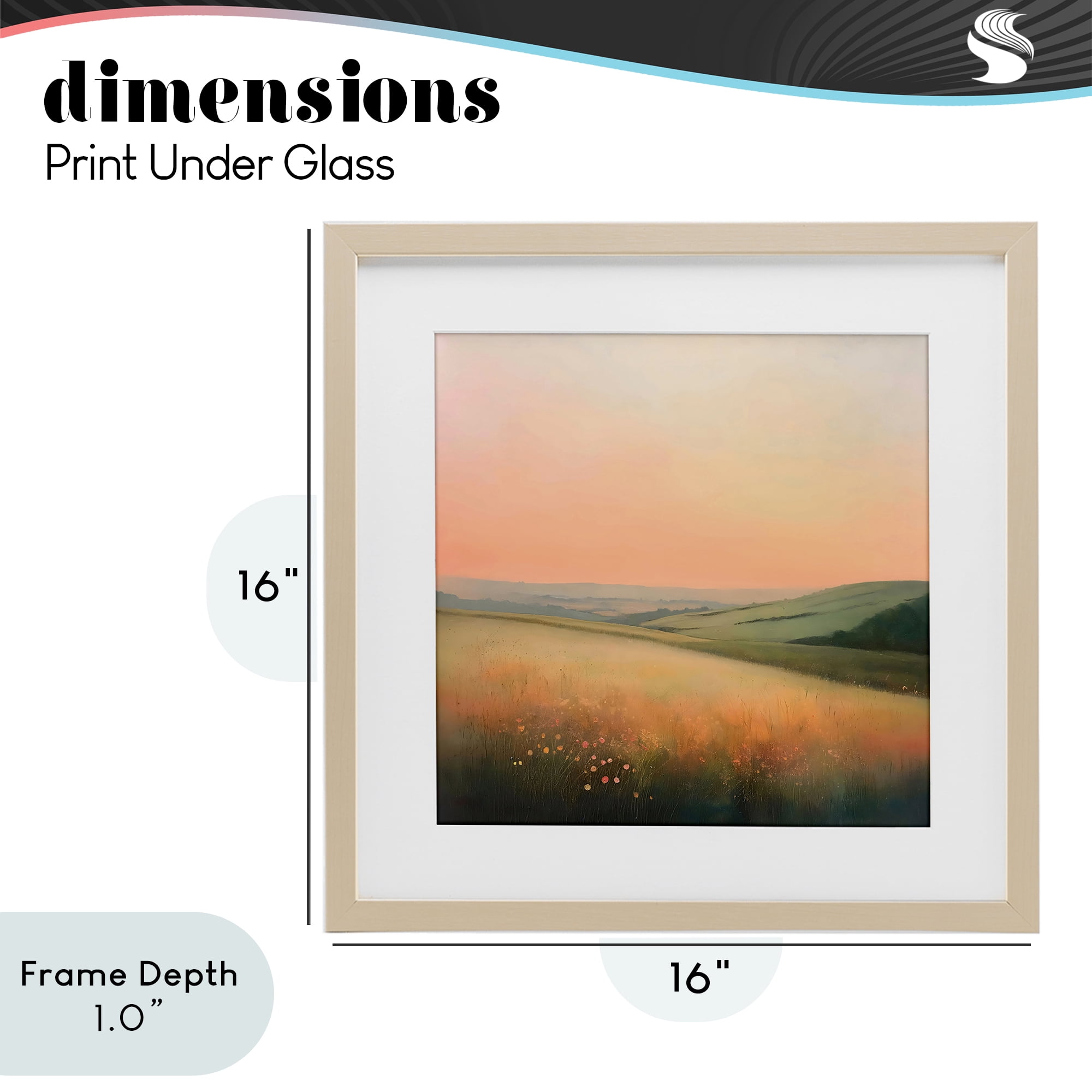 Stupell Industries Sun Coming Up Over Meadow Birch Framed Print Under Glass, design by Creative Studio