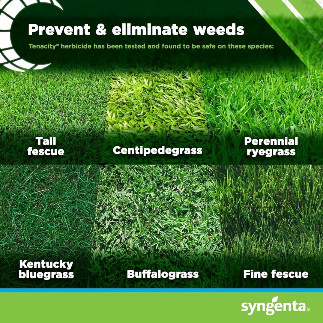 ZZJP Tenacity Herbicide - Pre-Emergent and Post-Emergent Weed Control, 8-oz. Liquid Weed Killer for Lawns and Turf Grasses, Active Ingredient Mesotrione Herbicide