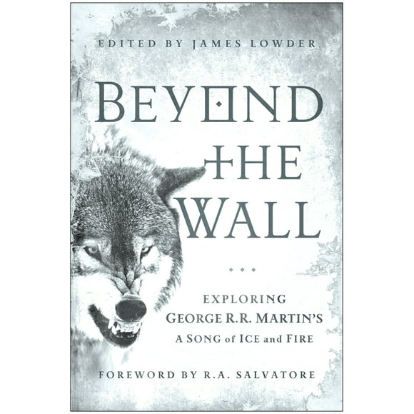 Beyond the Wall : Exploring George R. R. Martin's a Song of Ice and Fire (Paperback)