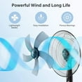 thumbnail image 2 of Simple Deluxe 16 inch 3 Speed Pedestal Fan, 2 of 7