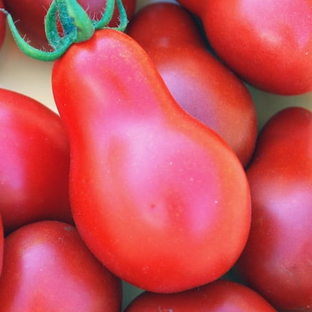 Tomato RED Pear Great Heirloom Garden Vegetable 100