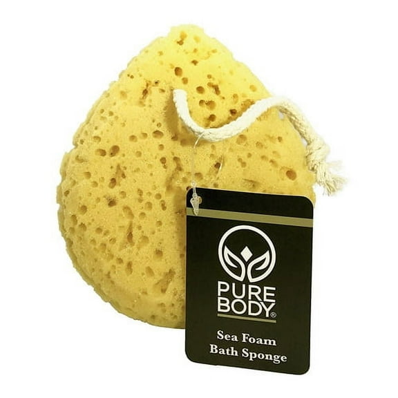 Retail Imports Sea Foam Bath Sponge - 3 Ea
