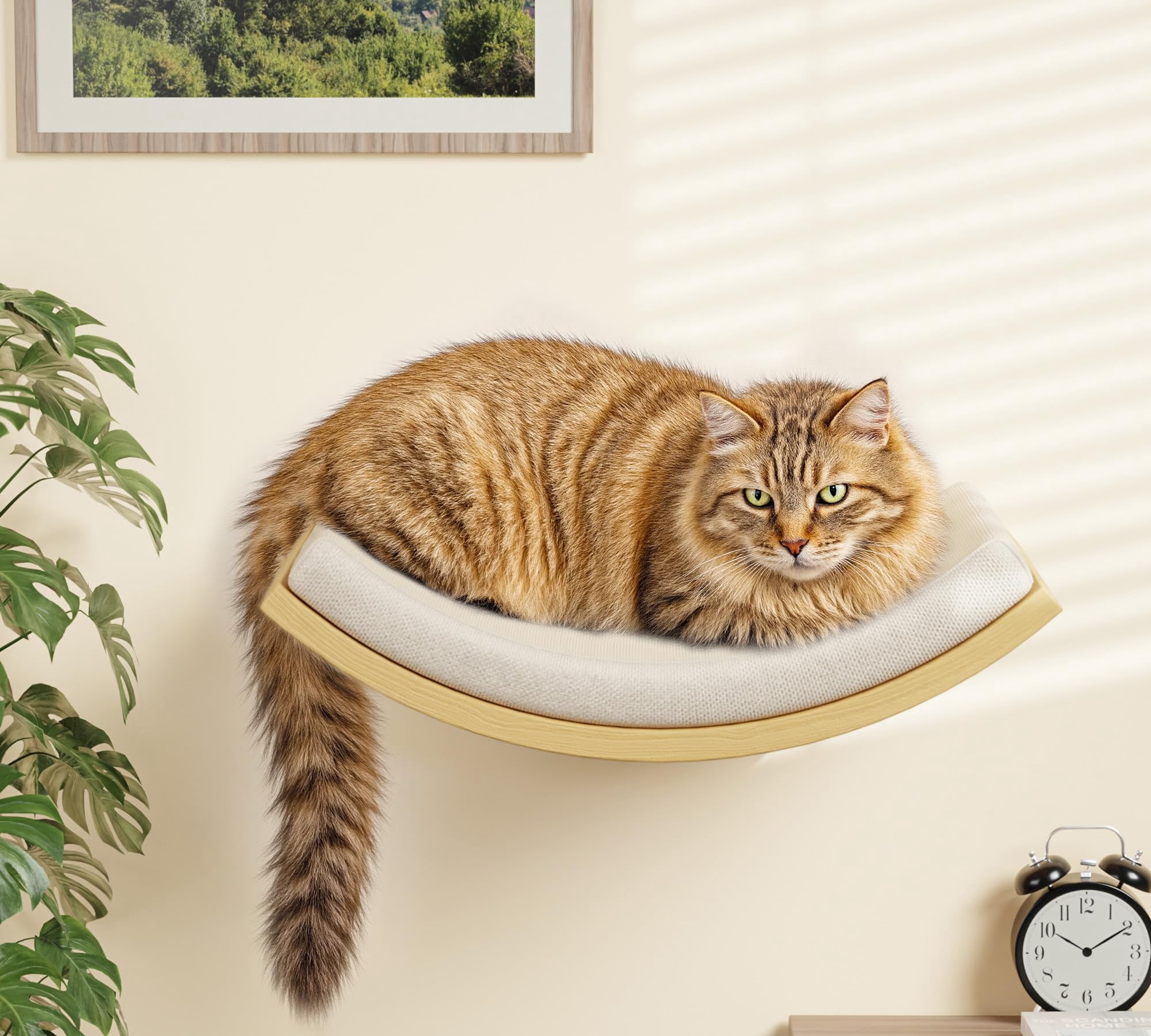 Cat Wall Climbing Furniture Set Foam/Felt-Wood 1 Curved Bed 1 Shelf 2 Ladders