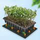 thumbnail image 1 of Seedl Heat Mat - Standard Warm Hydroponic Heating Pad For Indoor Gardening Heater Mat Seedl Mat Indoor Cultivation, 1 of 8