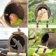 thumbnail image 3 of Caseta de nido de pájaro con escalera para loros, periquitos, conures, cocls S, animales, mascotas, Ca Habitats R, 3 of 4