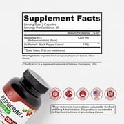 Nutreb Berberine Supplement 1200mg - 5X Higher Absorption - Ultra Pure Berberine HCL - Healthy Weight Management, Immune Support - Non GMO, Manufactured in USA - 60 Vegan Capsules