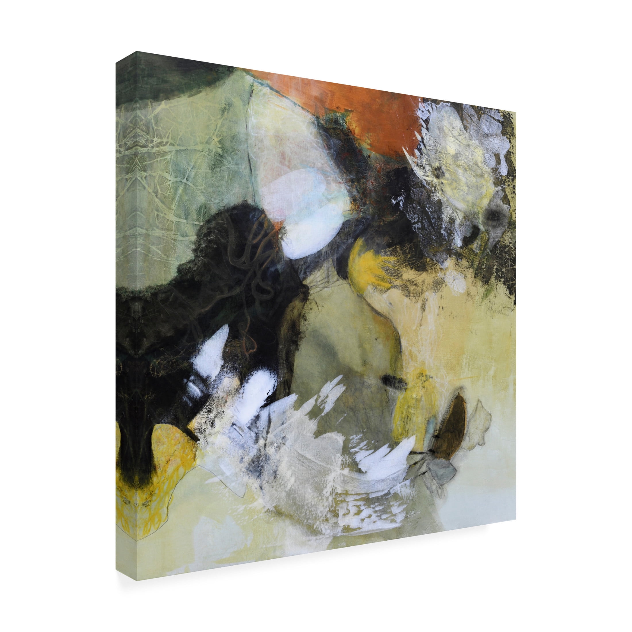 Canvas Wall Art - Jayne Walther 'Joyful Wandering' Wall Art for Living Room, Bedroom, or Office Décor by Trademark Fine Art - 35 x 35 Inches