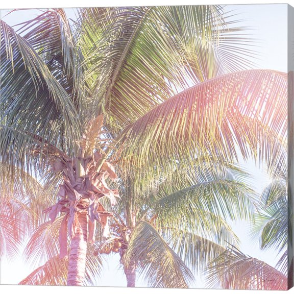 Dream Palm II by Sue Schlabach, Canvas Wall Art