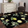 thumbnail image 3 of Yellow Lemon Summer Area Rugs 2.7'x5', Washable Small Throw Rugs for Kitchen Bedroom, Farmhouse Tropical Fruit Black Indoor Outdoor Rug Non-Slip Low Pile Carpet Runner Reversible Floor Mats, 3 of 8
