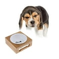 thumbnail image 3 of para Mascotas para Perros Elevados de Cerámica Y Acero Inoxidable con Soporte de Bambú para Perro, Gato, S01 Colco Cuenco de mascotas elevado para el stand de madera, 3 of 8