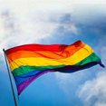 thumbnail image 2 of WREESH 3x5 Foot Rainbow Flag 3 Stripes-Vivid Color And Proof-Canvas Header Gay Pride, 2 of 9