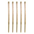 thumbnail image 1 of Deep Watering Spikes - 36-Inch - Pack of 5, 1 of 2