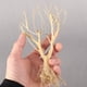 thumbnail image 2 of Ounissouiy Driftwood Aquarium Trunk Mikie Dry Small Deadwood Bonsai Light No flotante Fácil de limpiar Rama pequeña Decoración de tanque de agua Decoración Grande Ounissouiy HA071304-01, 2 of 6