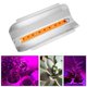 thumbnail image 2 of Encendiendo 50W Full Spectrum IP67 Planta impermeable Flor COB LED Grow Light (90-130V) Ndcxsfigh Libre de BPA, 2 of 7
