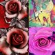 thumbnail image 4 of 5D DIY Hada Mariposa Rosa Flor Pintura de diamantes de imitación Costura Floral Bordado de diamantes Imágenes Decoración de punto de cruz Jumpingount JJ15242-01, 4 of 6