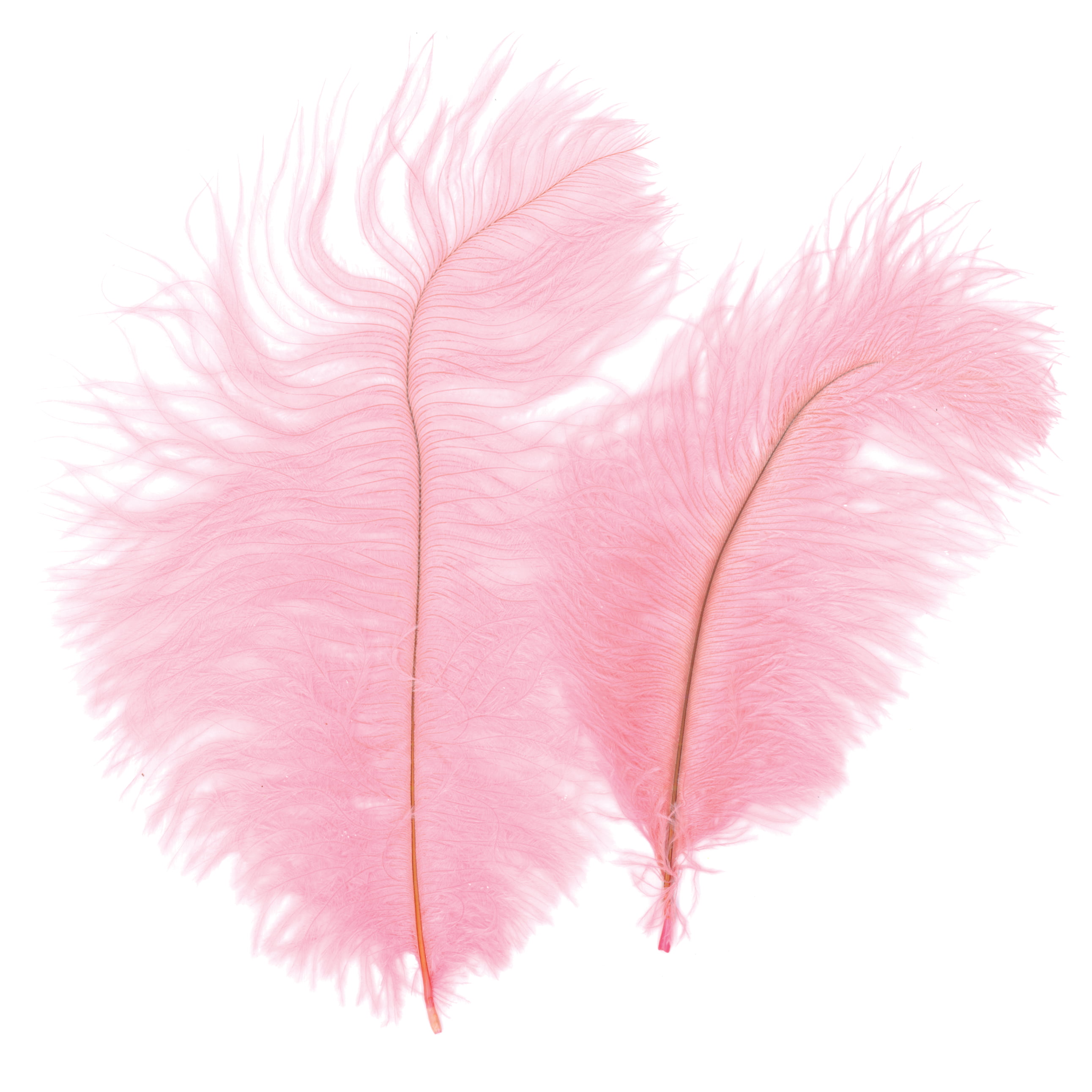 Ostrich Feathers 2/Pkg-Light Pink 
